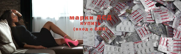 хмурый Алексин