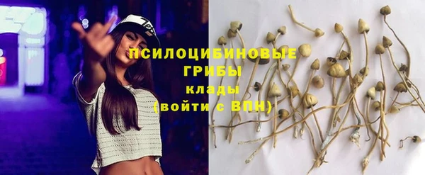 герыч Арсеньев