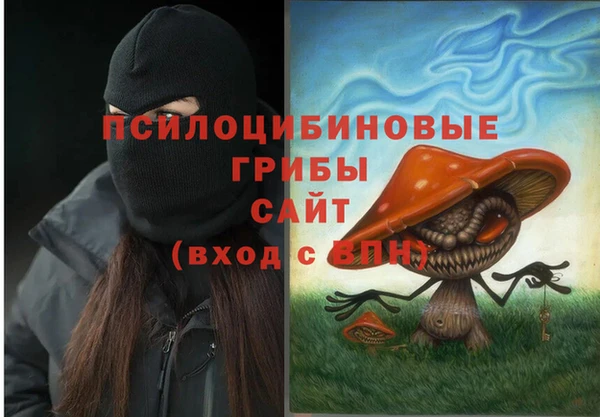 хмурый Алексин