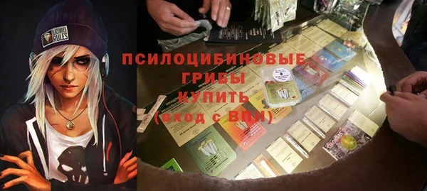 хмурый Алексин